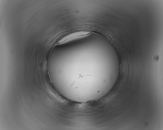 X0000115340092200911161842