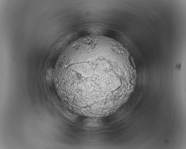 X0000115340093200911161842