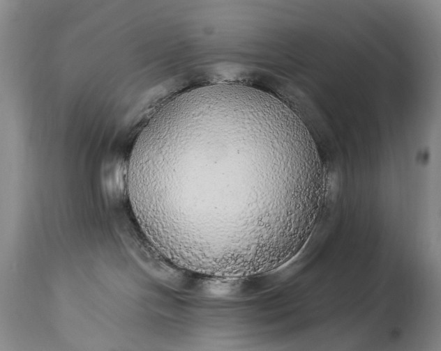 X0000115340094200911161842
