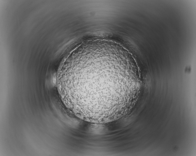 X0000115340095200911161842