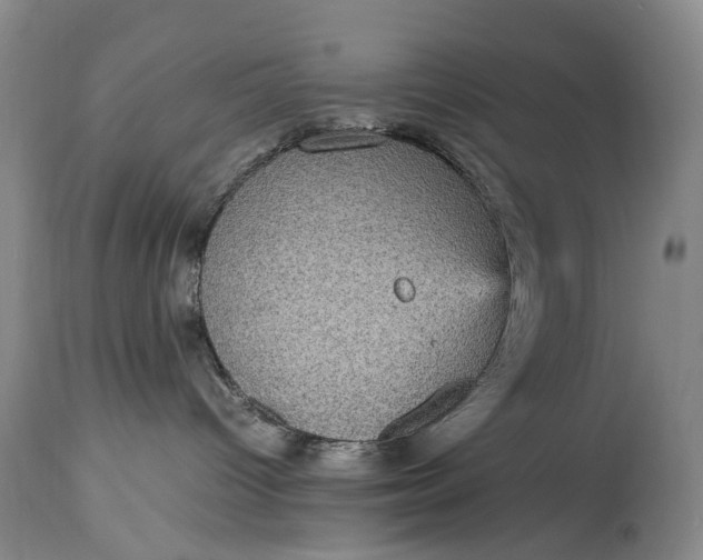 X0000115340096200911161842