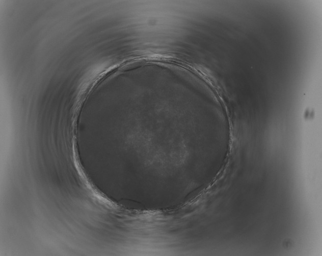X0000115340097200911161842