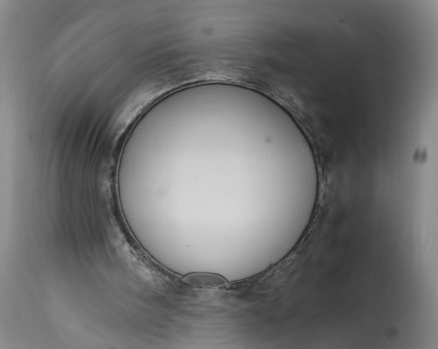 X0000115340098200911161842