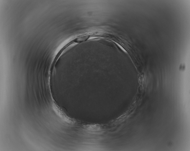 X0000115340100200911161841