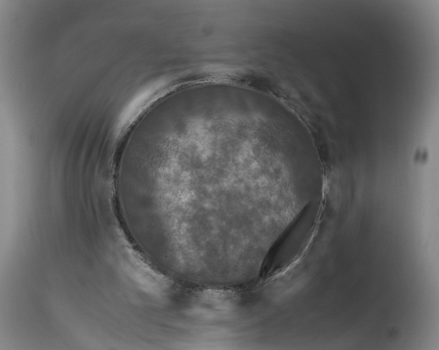 X0000115340101200911161841