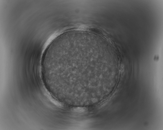X0000115340102200911161841