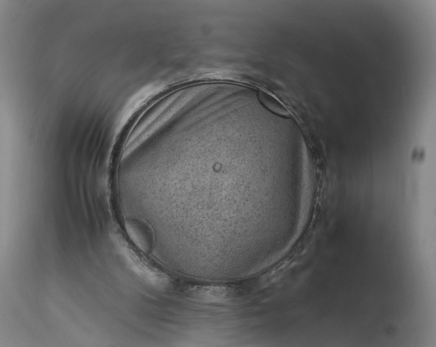X0000115340104200911161841