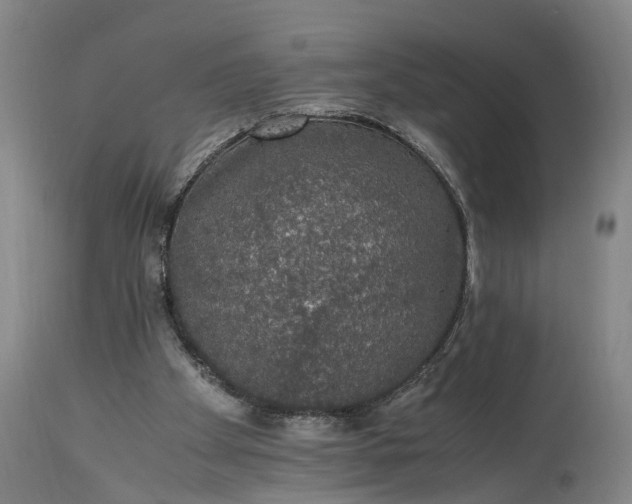 X0000115340105200911161841