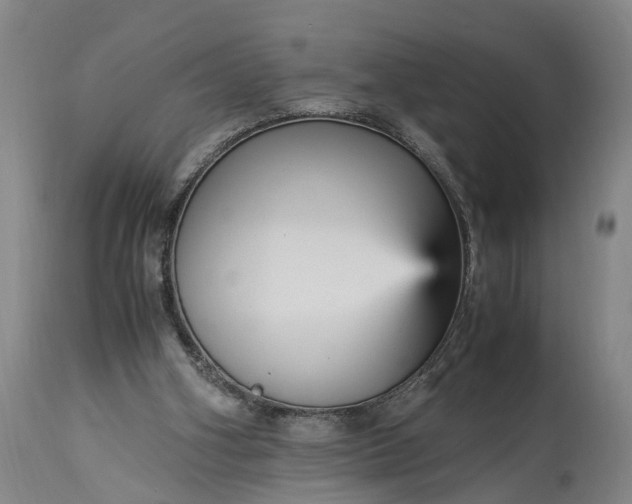 X0000115340106200911161841