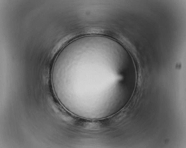 X0000115340107200911161841