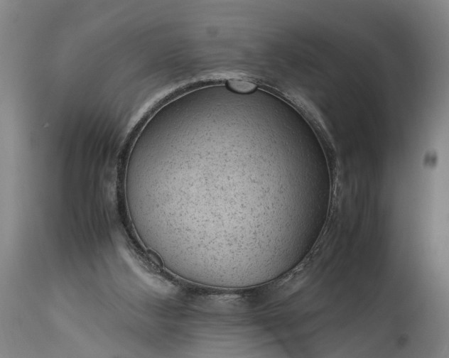 X0000115340108200911161841