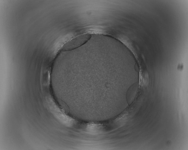 X0000115340109200911161841