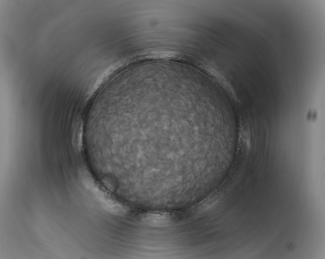 X0000115340110200911161841