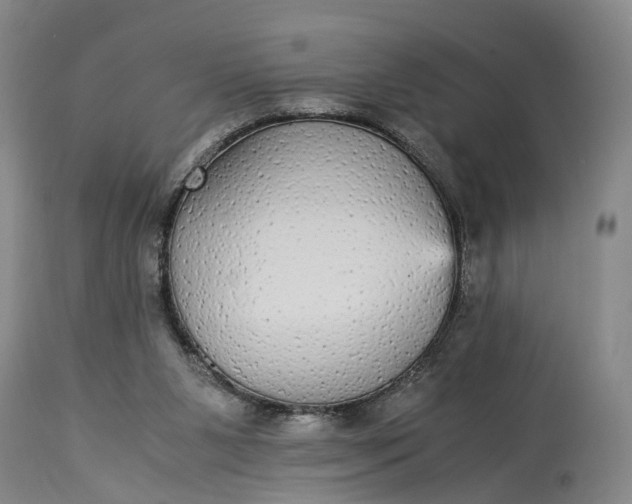 X0000115340111200911161841