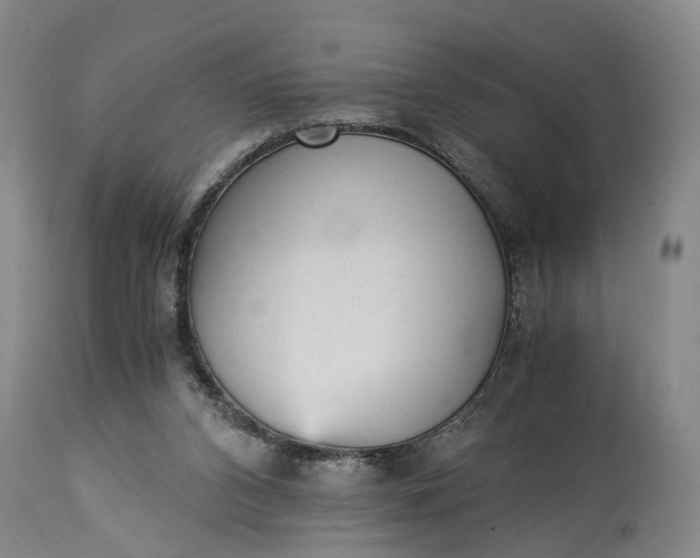 X0000115340112200911161841