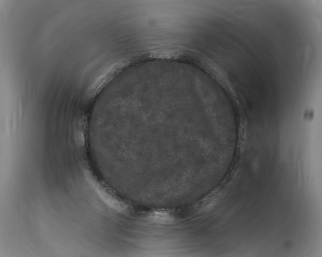 X0000115340114200911161841