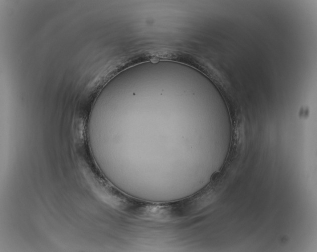 X0000115340117200911161841