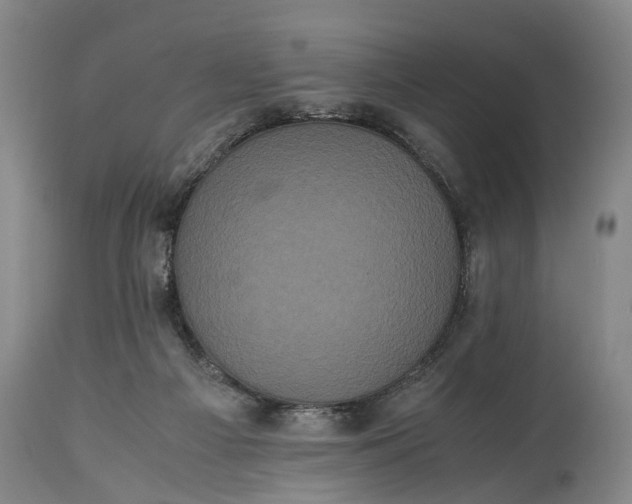 X0000115340121200911161841