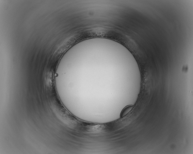 X0000115340122200911161841