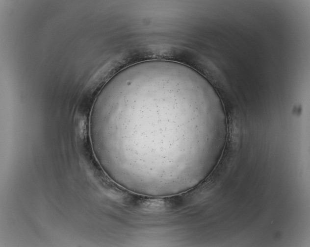 X0000115340123200911161841