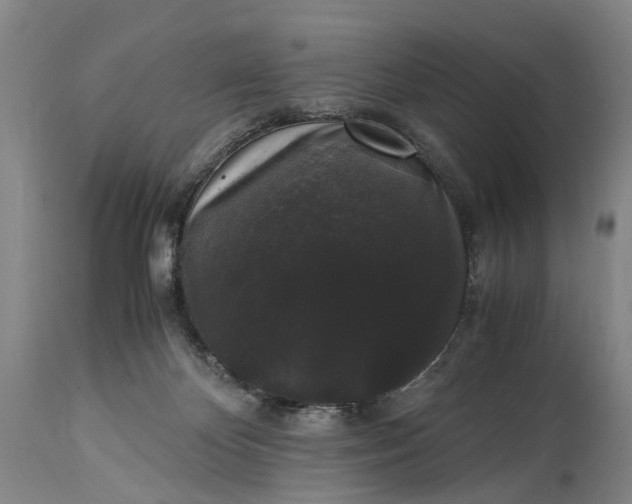 X0000115340124200911161841