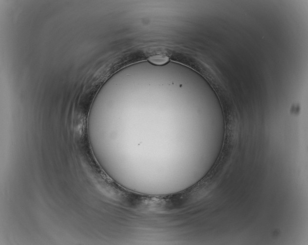 X0000115340125200911161841
