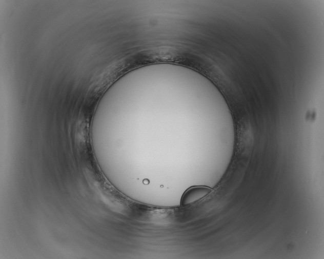 X0000115340126200911161841