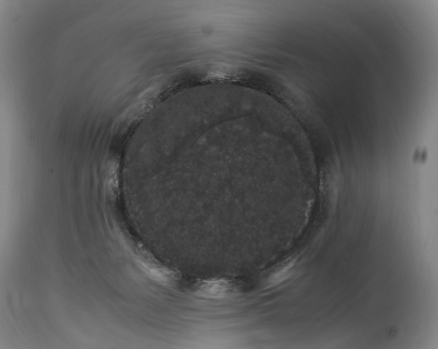 X0000115340127200911161841