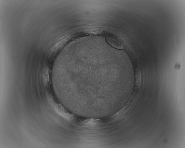 X0000115340128200911161841