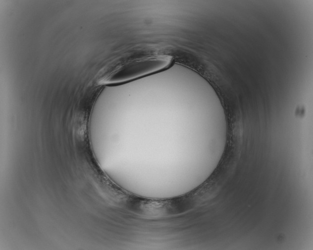 X0000115340129200911161841