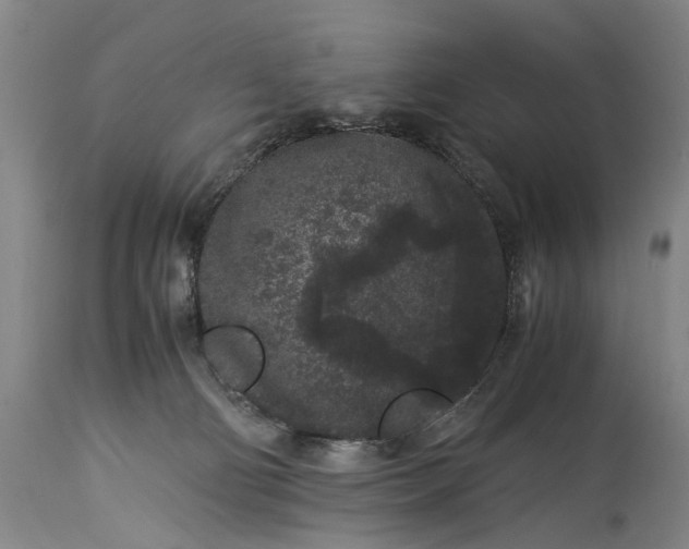 X0000115340130200911161841