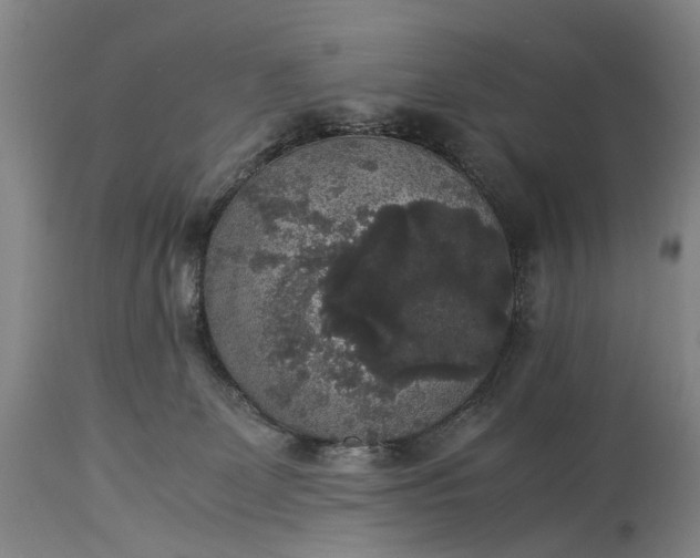 X0000115340131200911161841