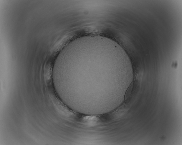 X0000115340133200911161841