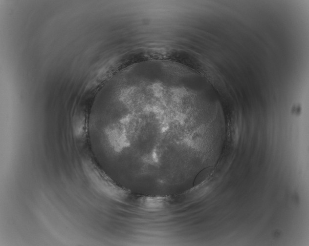 X0000115340134200911161841