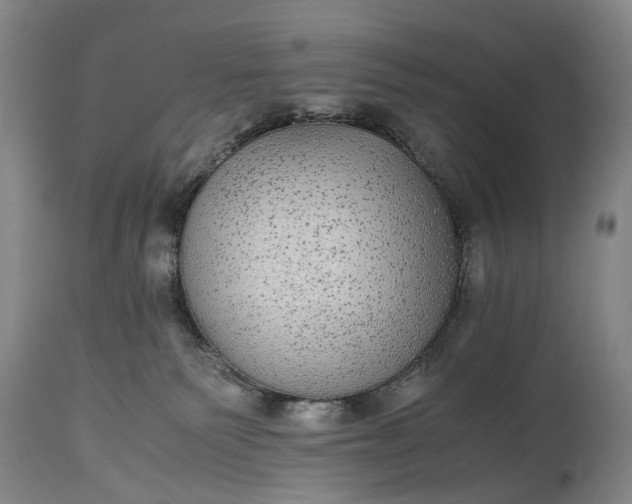 X0000115340135200911161841