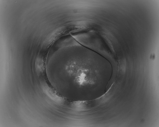 X0000115340136200911161841