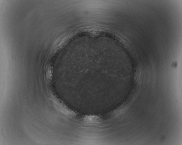 X0000115340137200911161841