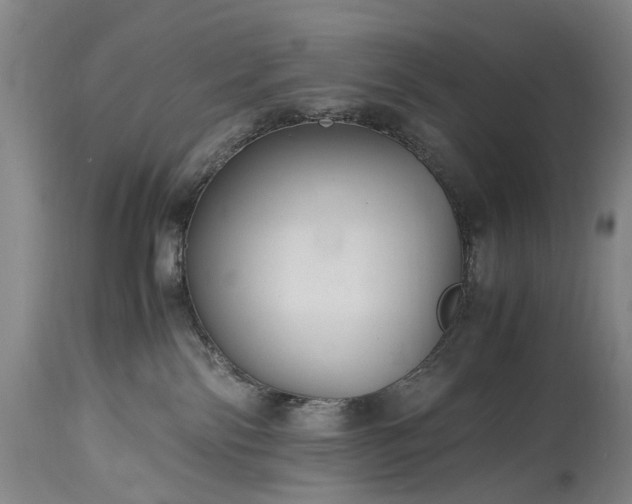 X0000115340138200911161841