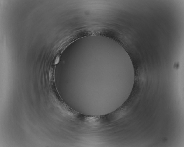 X0000115340139200911161841