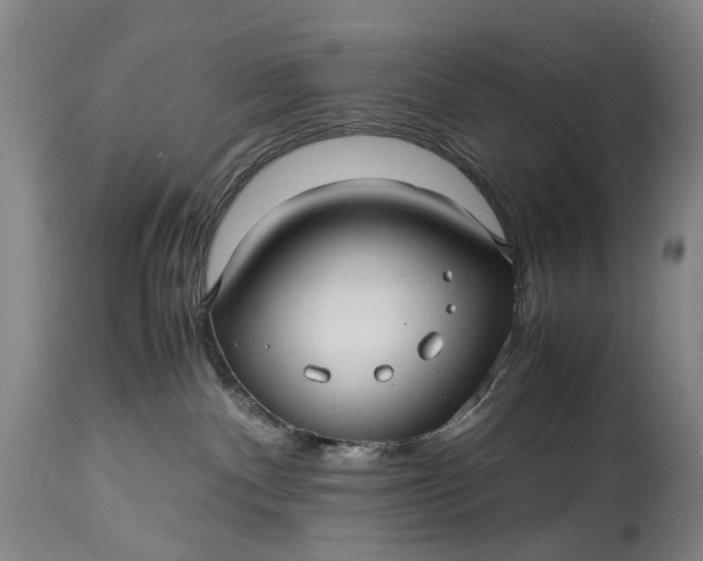 X0000115340140200911161841