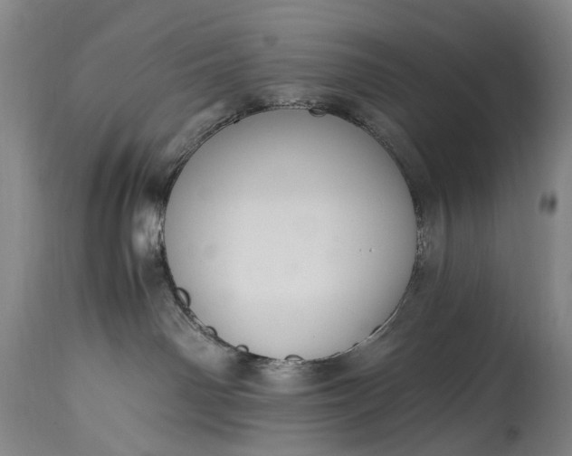 X0000115340142200911161841