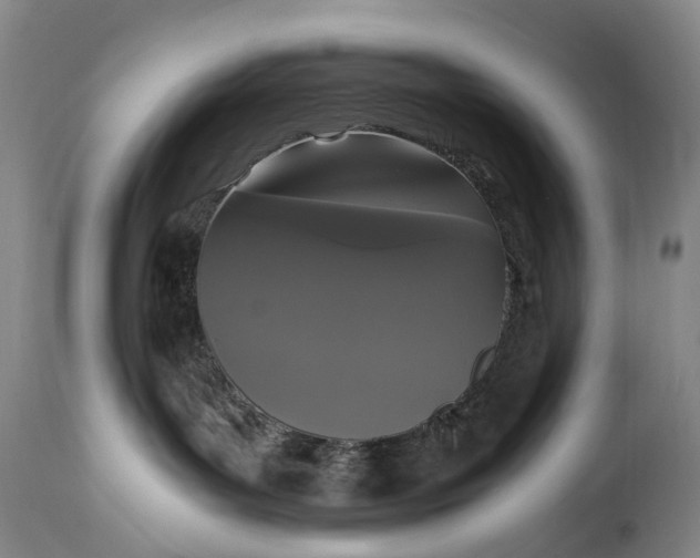 X0000115340143200911161841