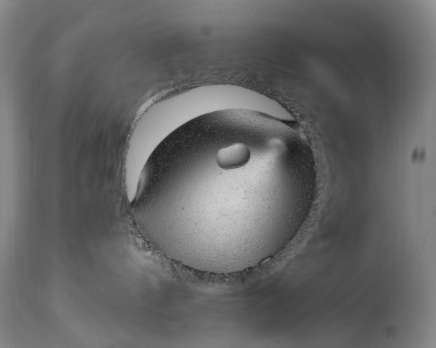 X0000115340144200911161841