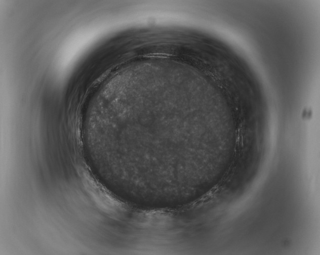 X0000115340146200911161840
