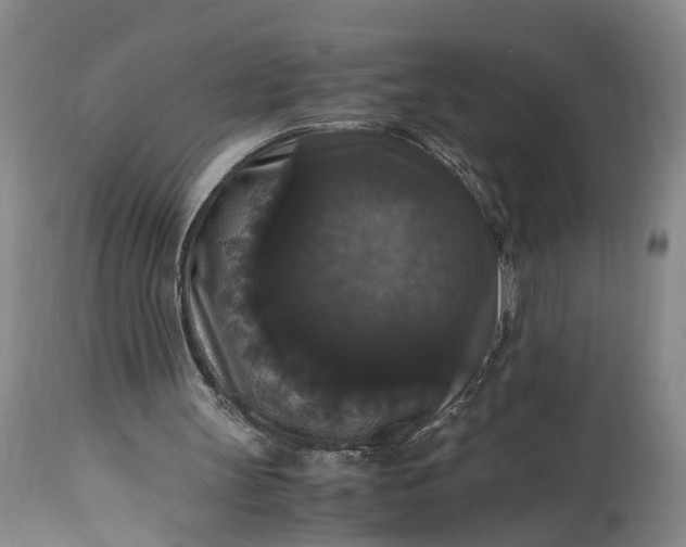 X0000115340147200911161840