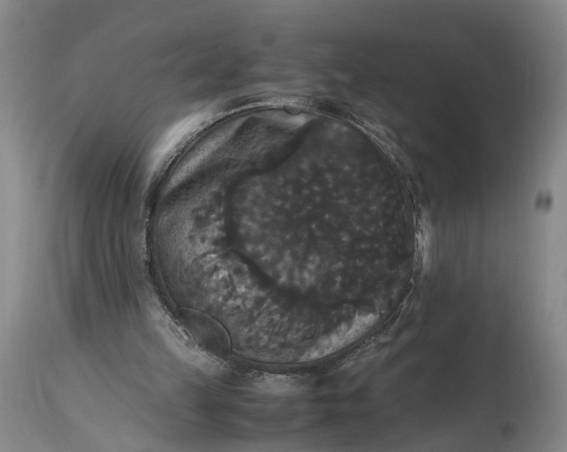 X0000115340149200911161840