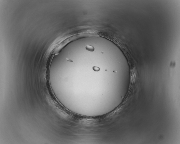 X0000115340150200911161840