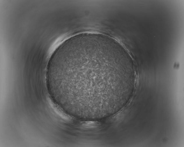 X0000115340151200911161840