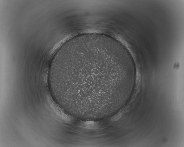 X0000115340153200911161840