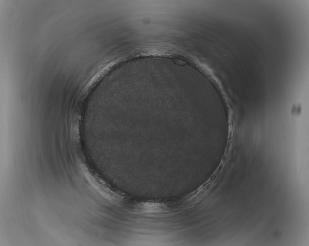 X0000115340154200911161840